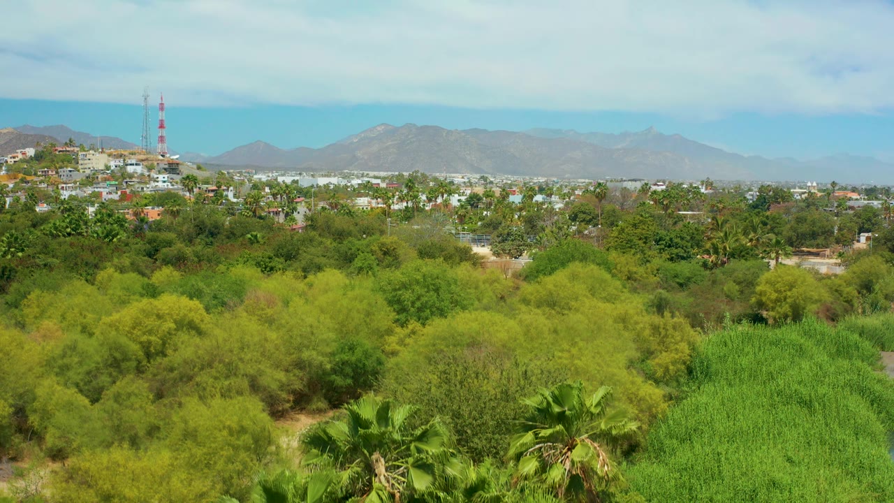 Wide elevated view of palms, town, tower, and mountains.