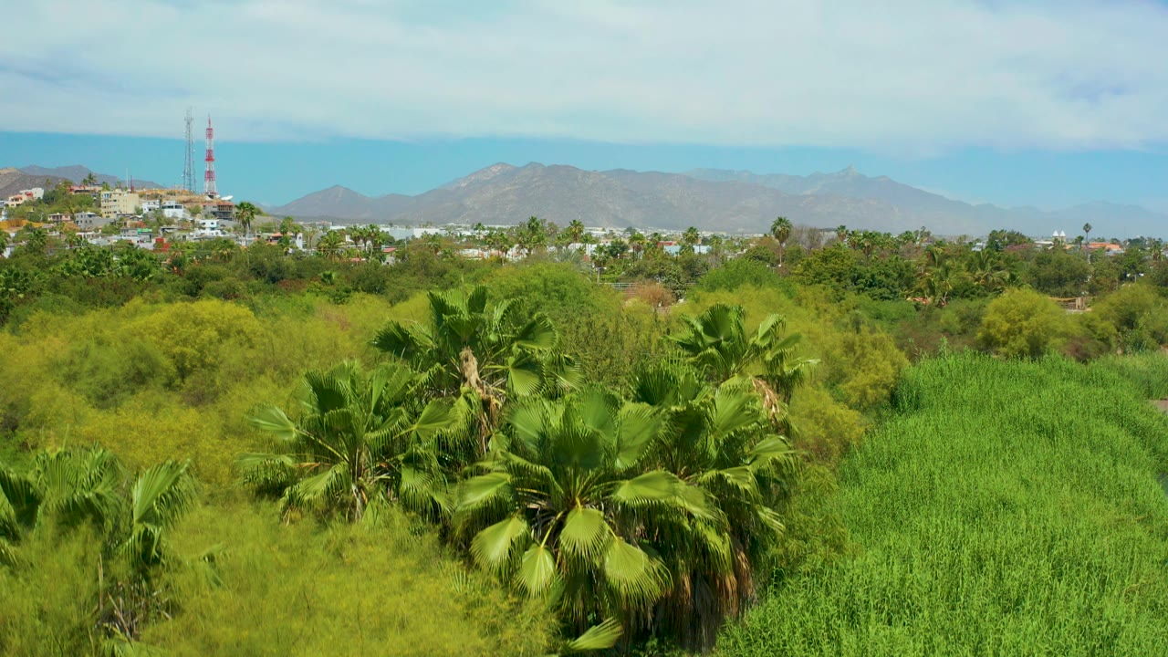 Opening view in San Jose Del Cabo with palm trees, dense green vegetation, distant town buildings, communication towers, mountains, blue sky, and no visible people.
