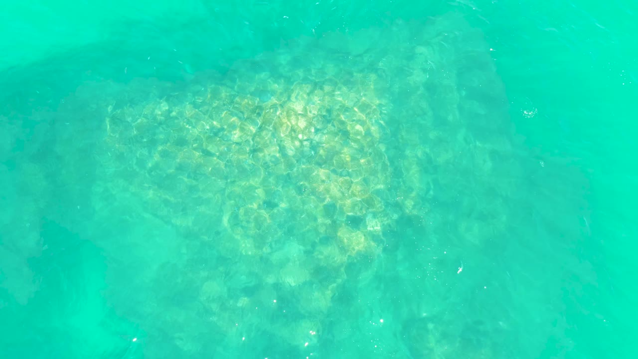 At 0:01, the sea turtle remains visible under bright turquoise water at Marquis Los Cabos, with a lighter shell patch and soft seabed detail showing through, and no visible people.