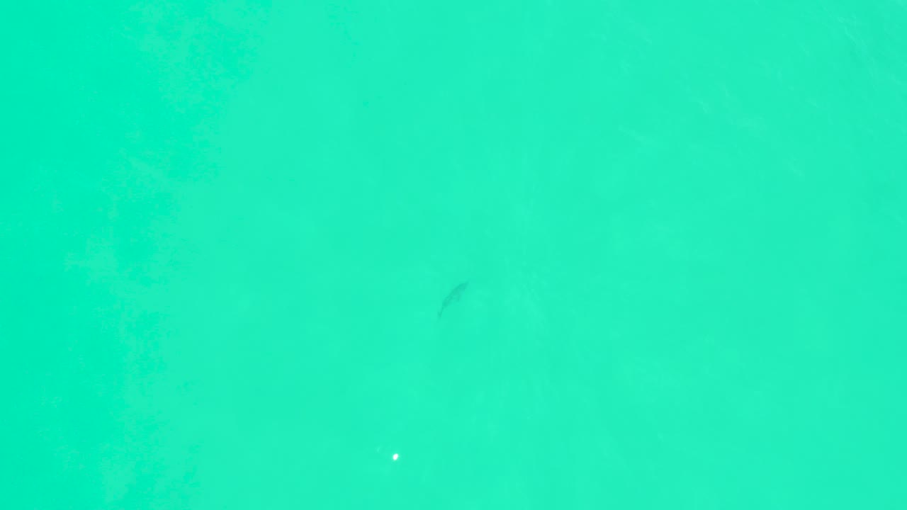 Overhead turquoise water at Marquis Los Cabos, Mexico, with a small dark fish shape near the upper center, one bright white reflection, and no visible people.