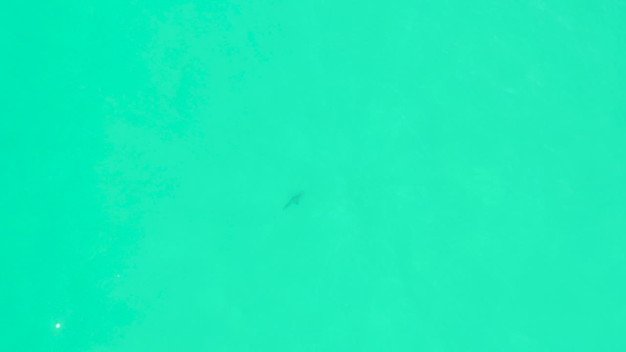 Overhead view of clear turquoise water at Marquis Los Cabos, Mexico, with a faint dark fish shape, a small bright reflection, and no visible people.