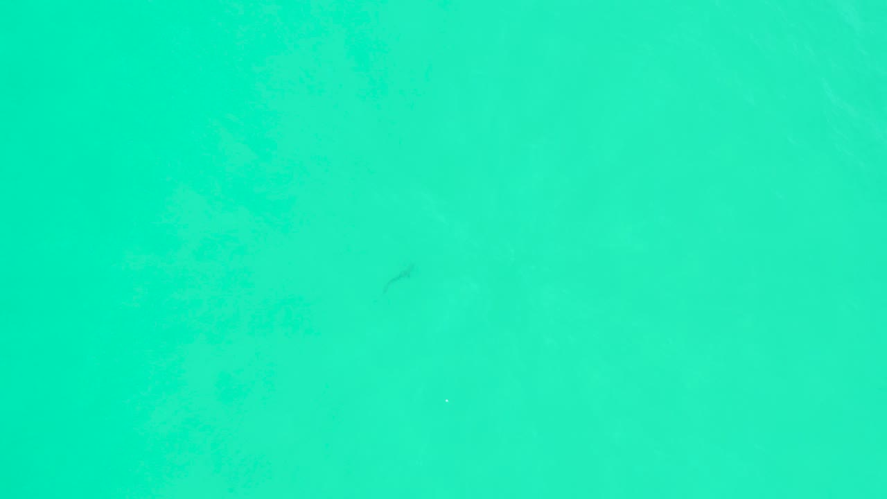 Overhead turquoise ocean water at Marquis Los Cabos, Mexico, with a small dark fish shape toward the upper right, subtle clouded texture below the surface, and no visible people.
