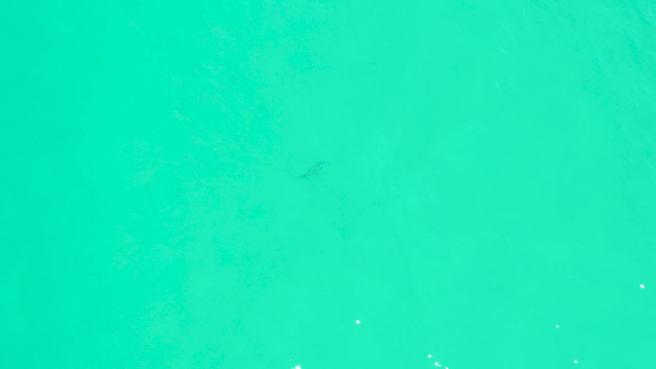 Top-down view of turquoise shallow water at Marquis Los Cabos with a faint sandy bottom, scattered bright specks, and no visible people.