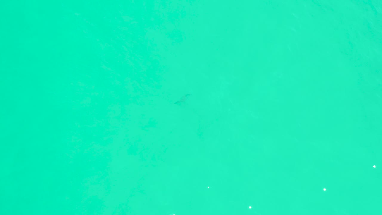 Clear turquoise water at Marquis Los Cabos shows faint dark fish shapes below the surface and small white points, with no visible people.