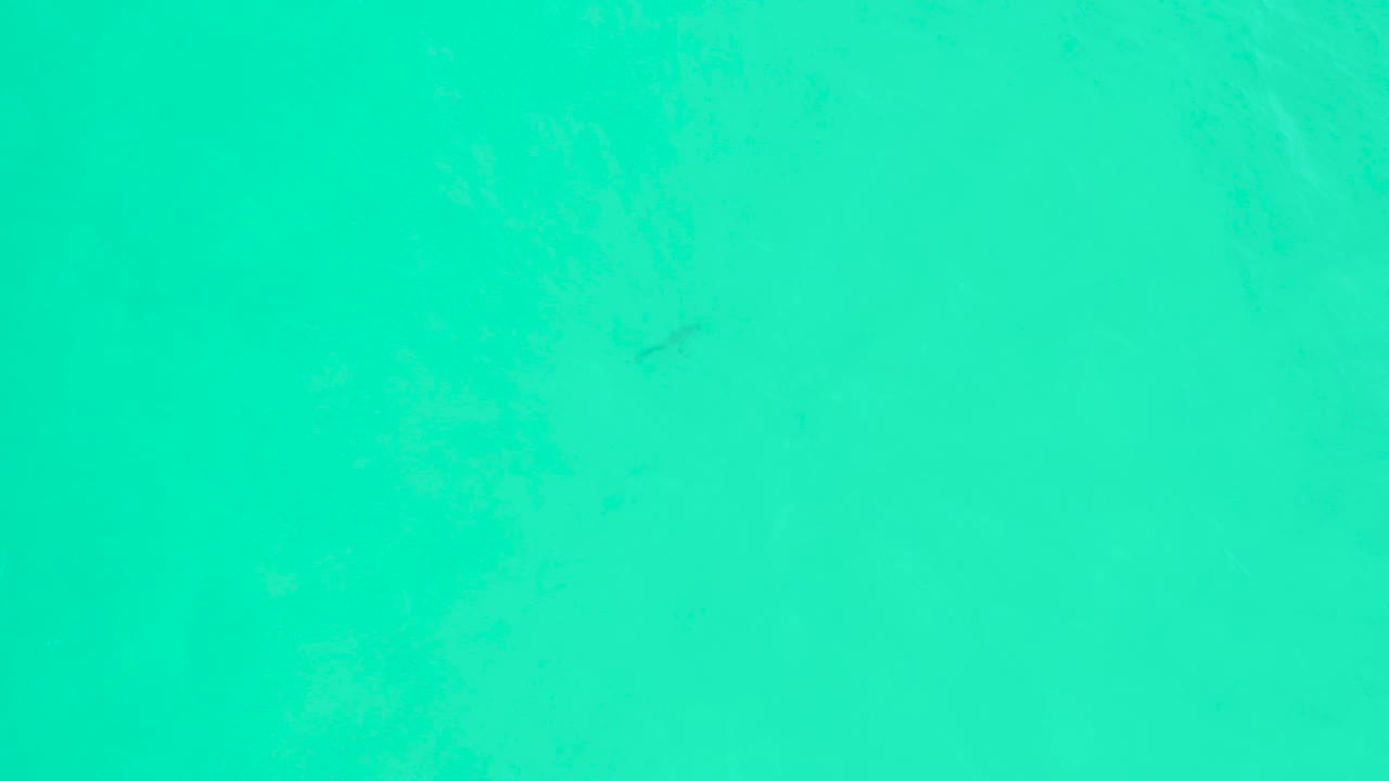 Shallow turquoise sea at Marquis Los Cabos fills the frame with muted bottom texture, scattered white specks, and no visible people.