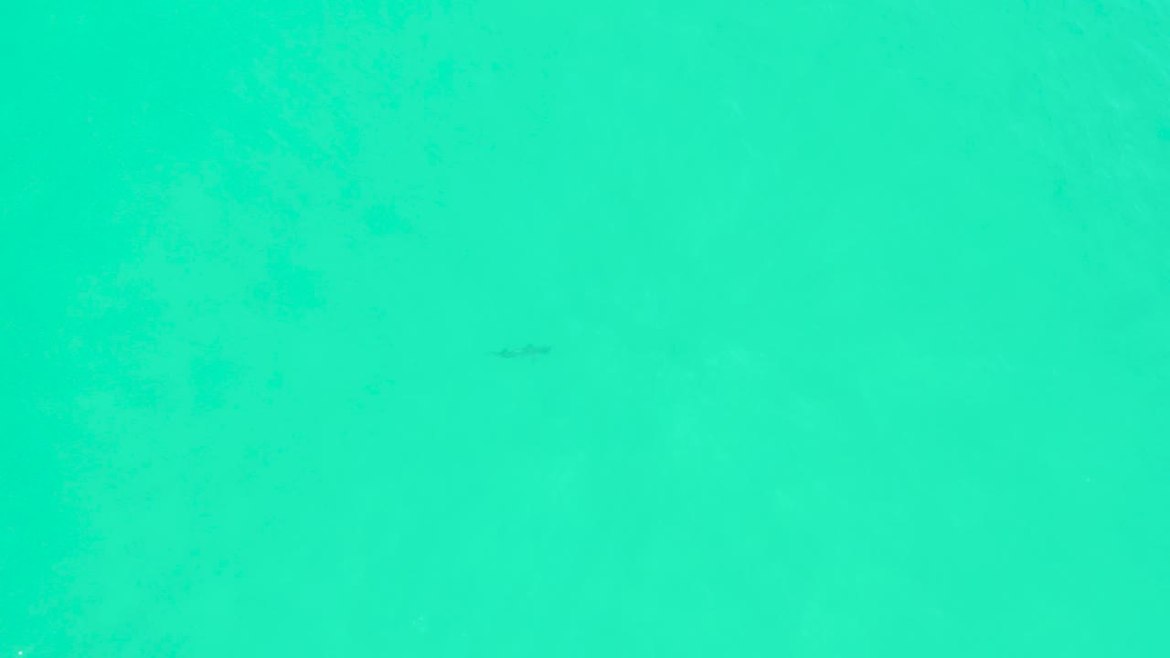 Turquoise water fills the frame at Marquis Los Cabos, with a tiny dark fish mark and low-contrast surface ripples visible, no visible people.