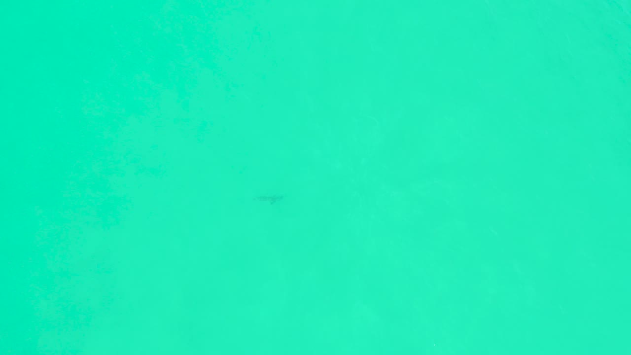 Open turquoise water at Marquis Los Cabos fills the frame with faint texture, a barely visible fish shape, and no shoreline or people visible.