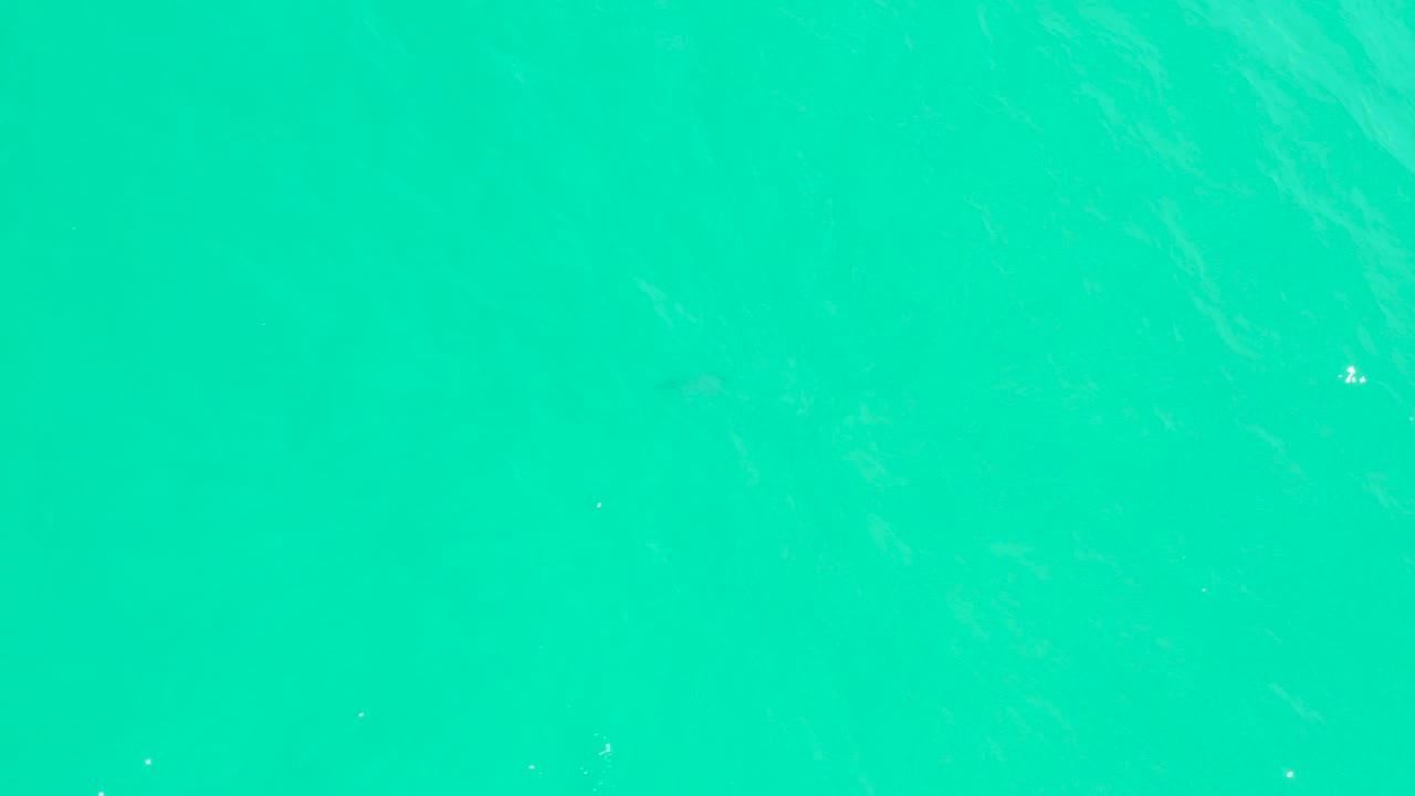 Overhead view of turquoise ocean water at Marquis Los Cabos with faint ripples and no visible people.