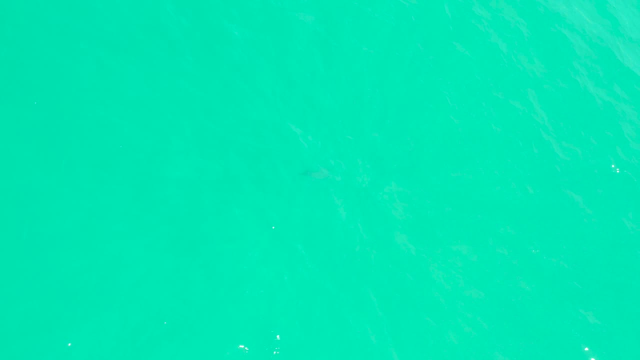 Clear turquoise ocean surface at Marquis Los Cabos with small bright flecks across the water and no visible people.