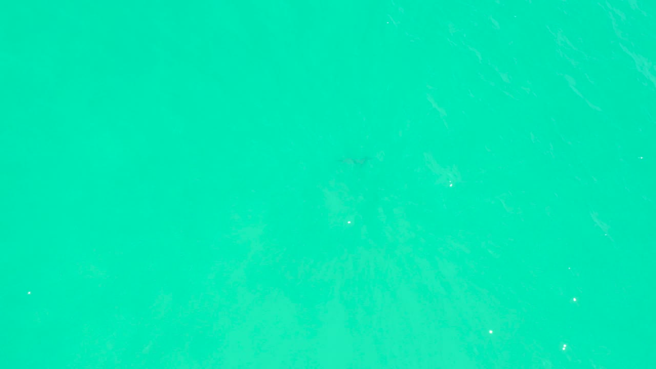 Blue-green ocean water at Marquis Los Cabos with soft ripple patterns and slightly darker tones under the surface, no visible people.