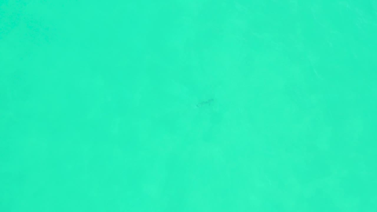 Small dark fish in clear turquoise water