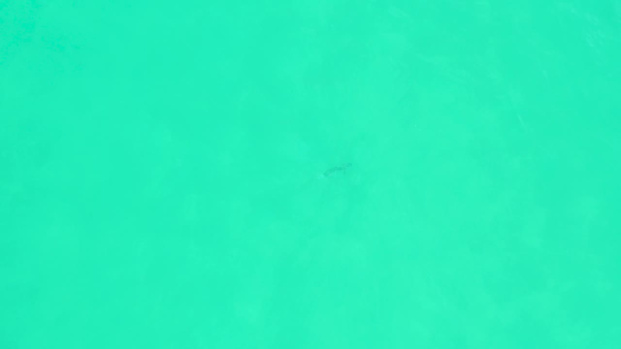 A tiny dark fish sits against open turquoise ocean water at Marquis Los Cabos, with soft underwater texture and no visible people.