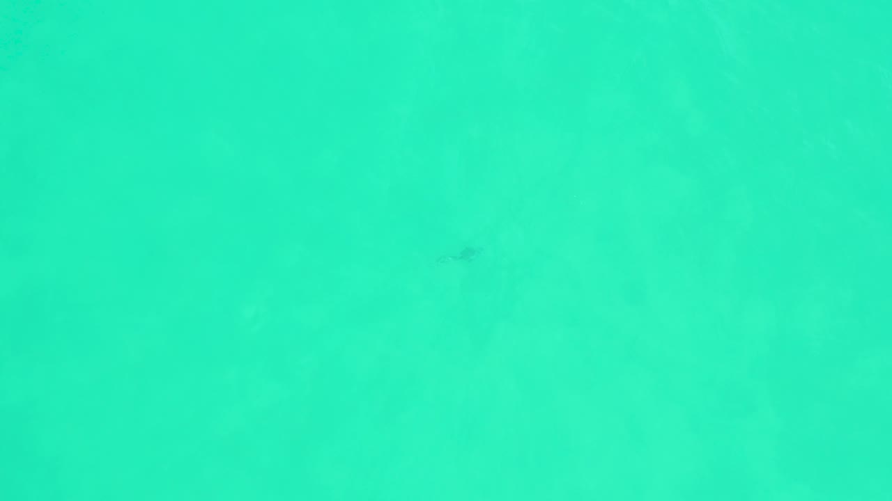 A small fish is visible over pale turquoise water at Marquis Los Cabos, with slight tonal variation in the water and no visible people.