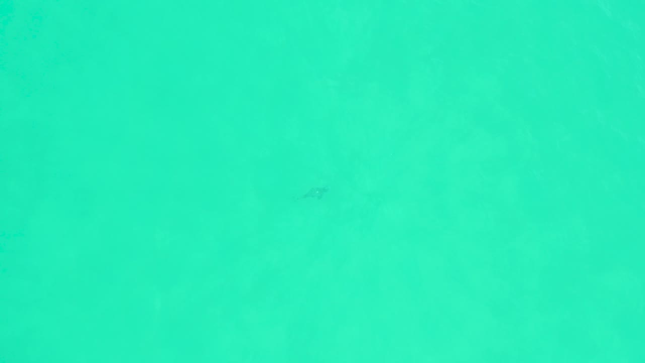 A faint fish silhouette appears in clear aqua water at Marquis Los Cabos, with a broad uncluttered background and no visible people.