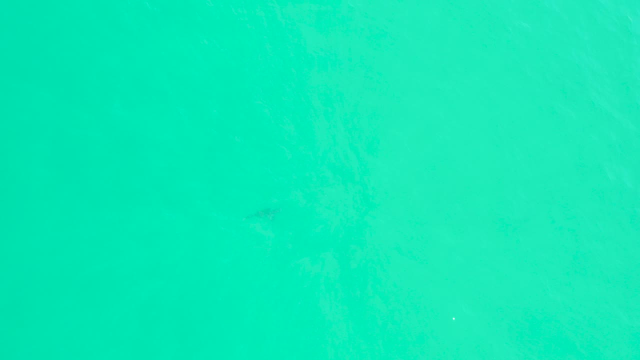 Turquoise ocean water with small dark fish below the surface