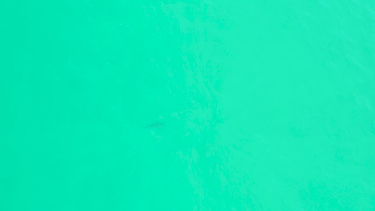 Clear teal ocean water fills the frame at Marquis Los Cabos, with faint fish silhouettes below the surface and no visible people.