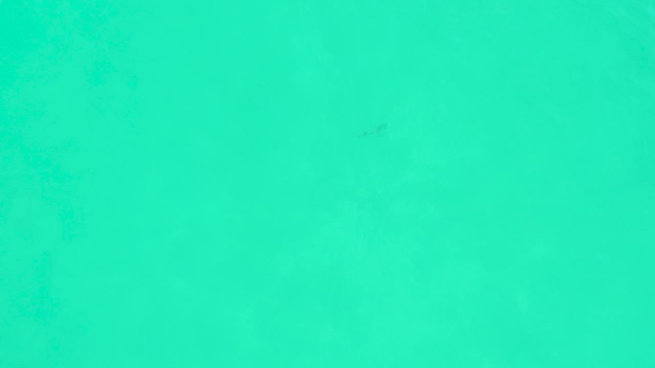 Bright turquoise water at Marquis Los Cabos, Mexico, with small fish shapes spread across the frame and no visible people.