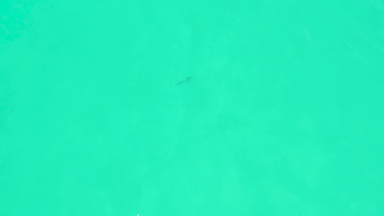 Open turquoise water at Marquis Los Cabos, Mexico, with a few faint fish marks below the surface and no visible people.