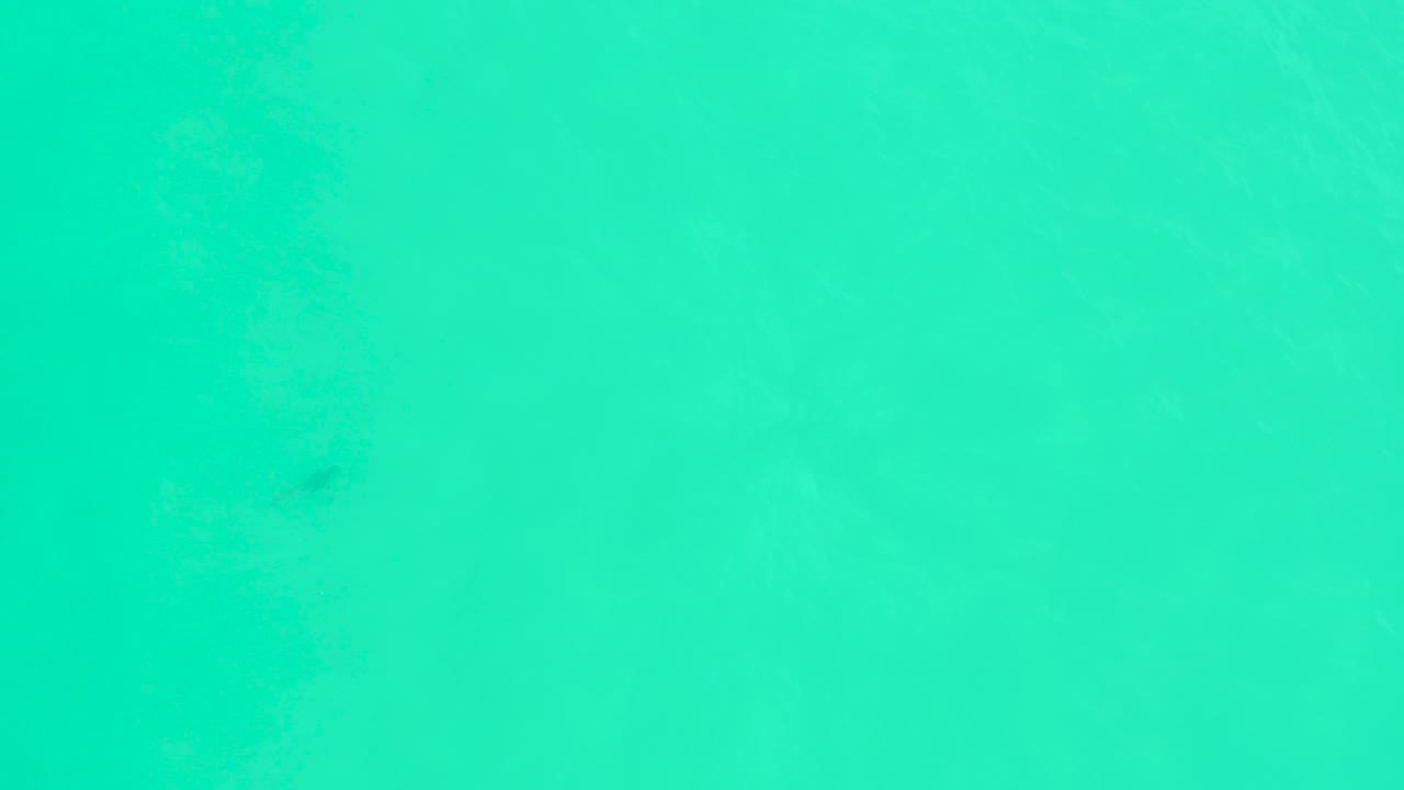 Overhead turquoise sea at Marquis Los Cabos shows faint foam drifting over a smooth aquatic surface, no visible people.