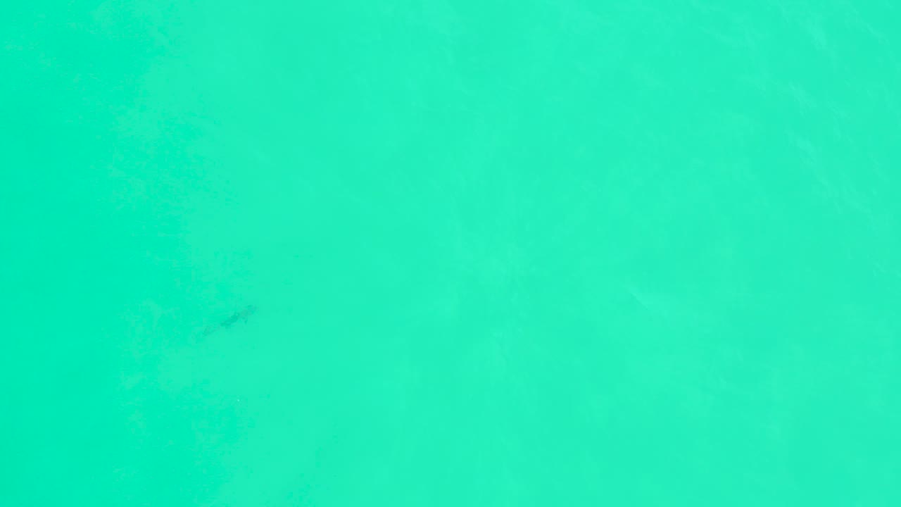 Bright aqua ocean surface at Marquis Los Cabos fills the shot with slight tonal bands and almost no distinct objects, no visible people.