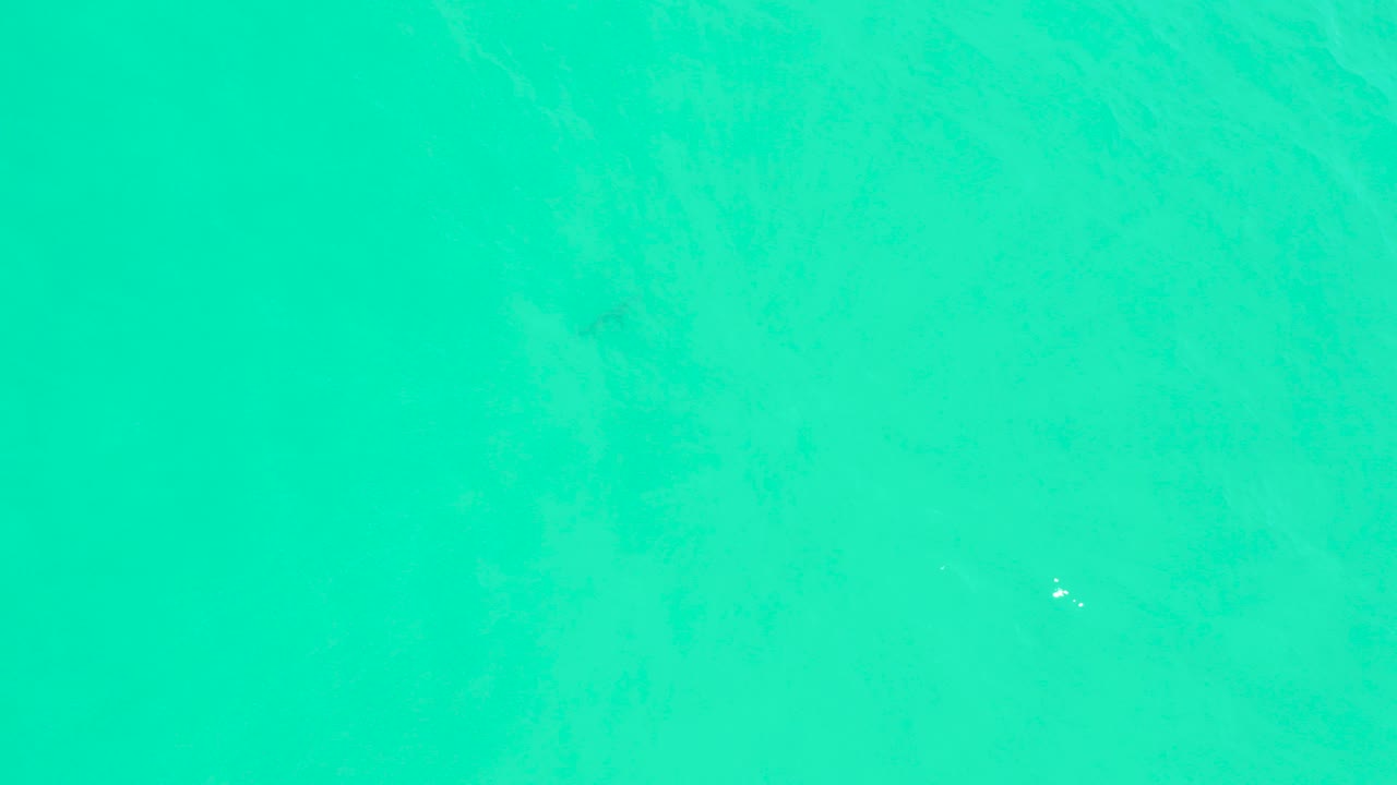 Top-down view of turquoise ocean water at Marquis Los Cabos, with faint fish shapes under the surface near the lower left and no visible people.