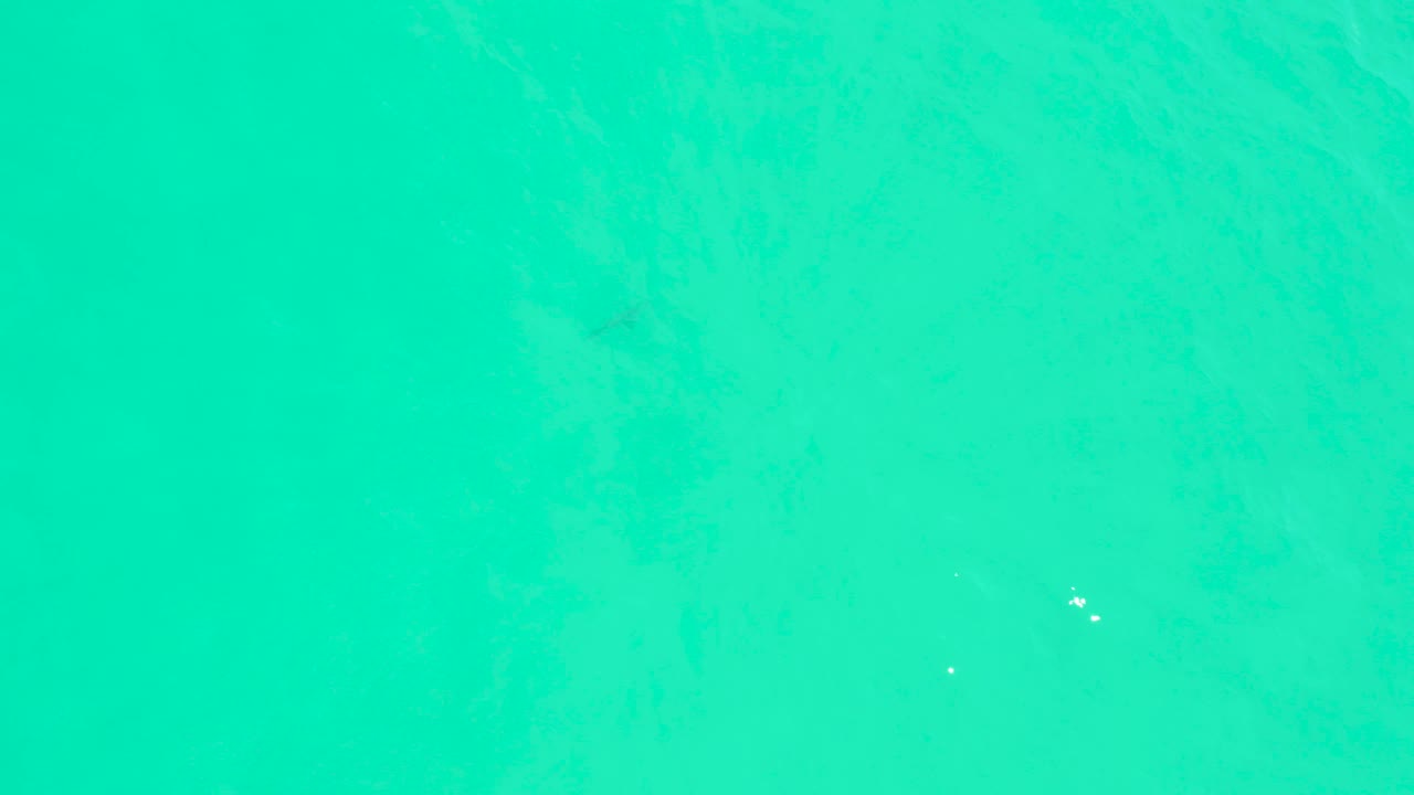Clear turquoise water at Marquis Los Cabos fills the frame, with small surface highlights and faint underwater texture, no visible people.