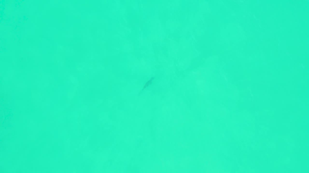 Tiny dark fish shape sits near the upper area of the turquoise water field at Marquis Los Cabos, with faint mottled seabed detail and no visible people.