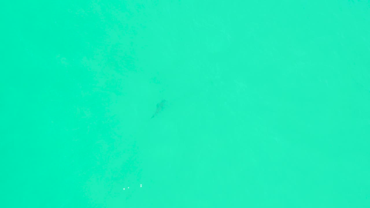 The shark is faintly visible beneath clear turquoise water at Marquis Los Cabos, surrounded by subtle seabed patterns and no visible people.