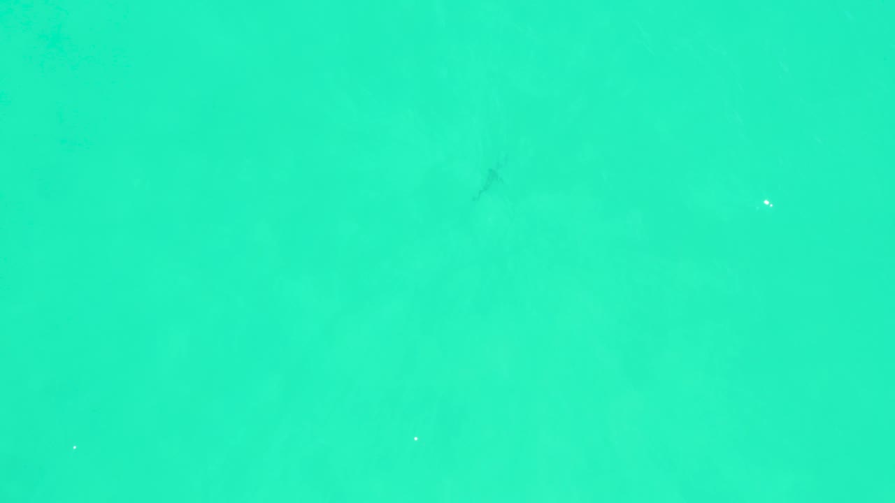 A small fish silhouette sits within clear turquoise water at Marquis Los Cabos, while white particles drift through the frame and no people are visible.