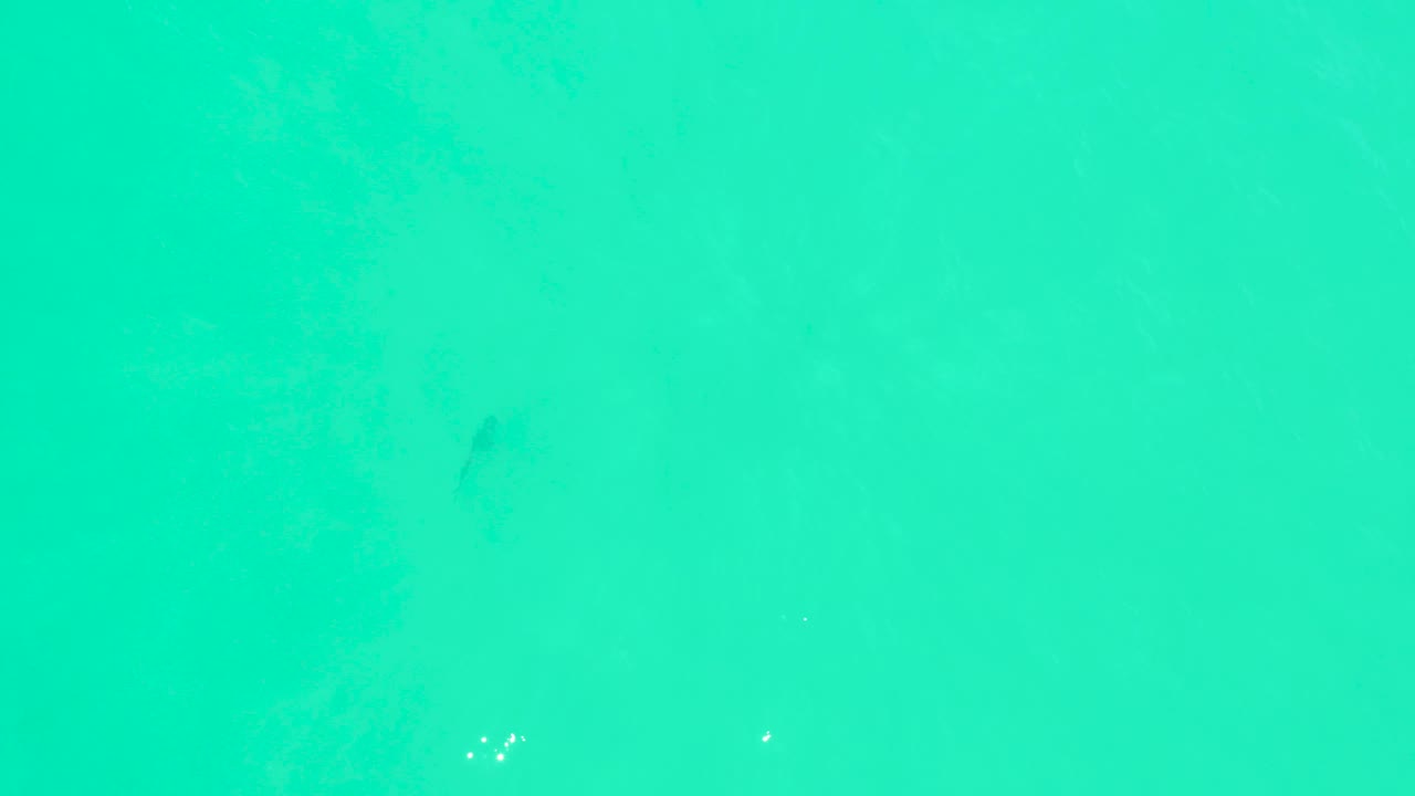 At Marquis Los Cabos, a dark fish silhouette sits under clear turquoise water as soft underwater patterns become more apparent, with no visible people.