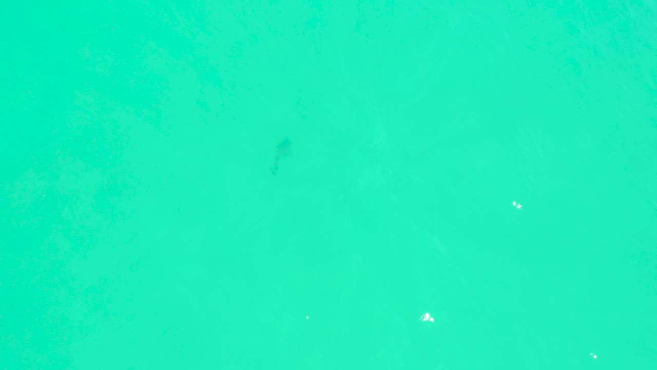 A faint shark form remains visible under the turquoise surface at Marquis Los Cabos, with tiny white surface marks and no visible people.