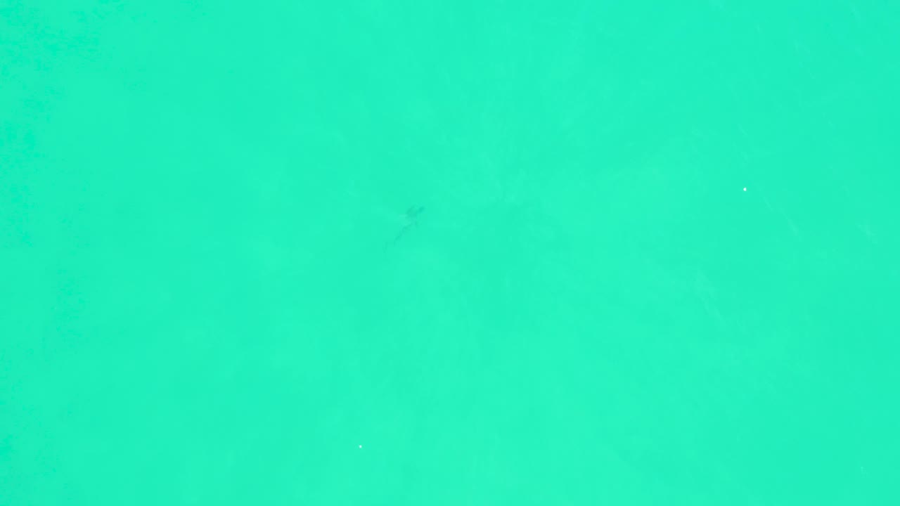 Mid-clip overhead frame from Marquis Los Cabos showing open turquoise water, a faint shark below the surface, scattered white fish or bubbles, and no visible people.