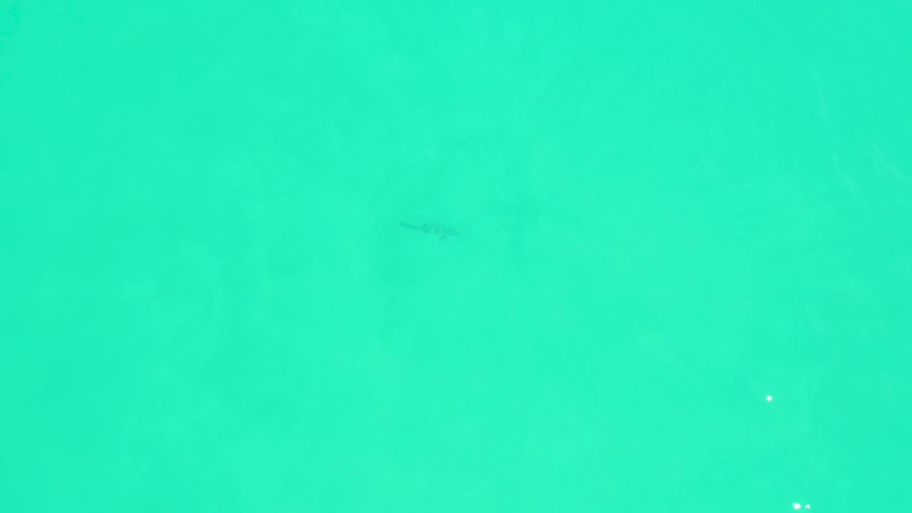 At Marquis Los Cabos in Baja California Sur, Mexico, a small dark fish appears under clear turquoise water near the right side of the overhead frame, with no visible people.