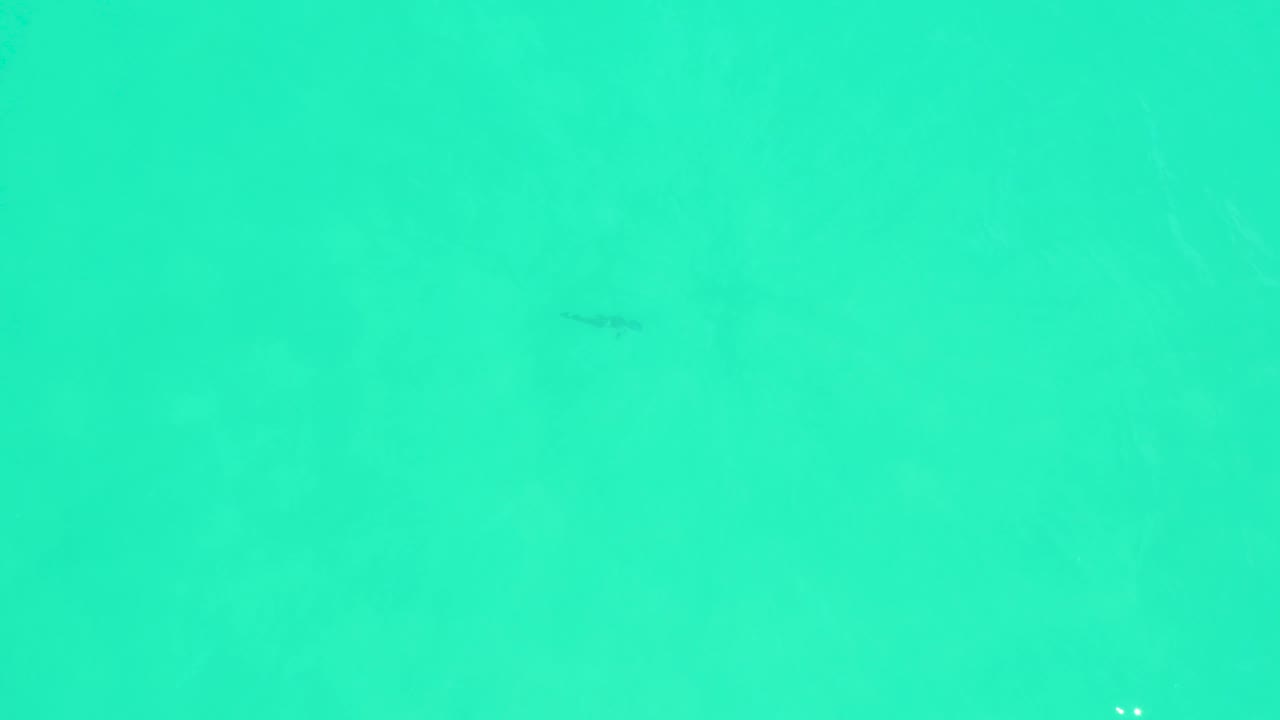 A small fish sits farther left in the teal ocean field at Marquis Los Cabos, with faint surface brightness and no visible people.