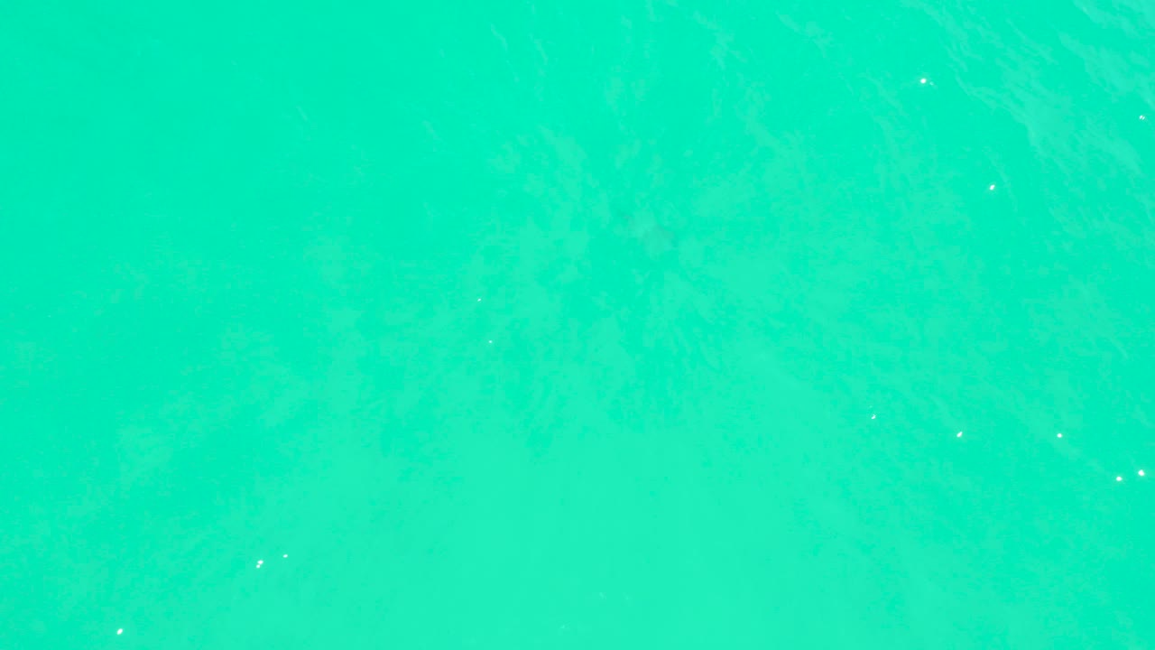 Overhead turquoise water at Marquis Los Cabos shows the seabed beneath the surface and a faint dark fish shape beginning to appear toward the right, no visible people.
