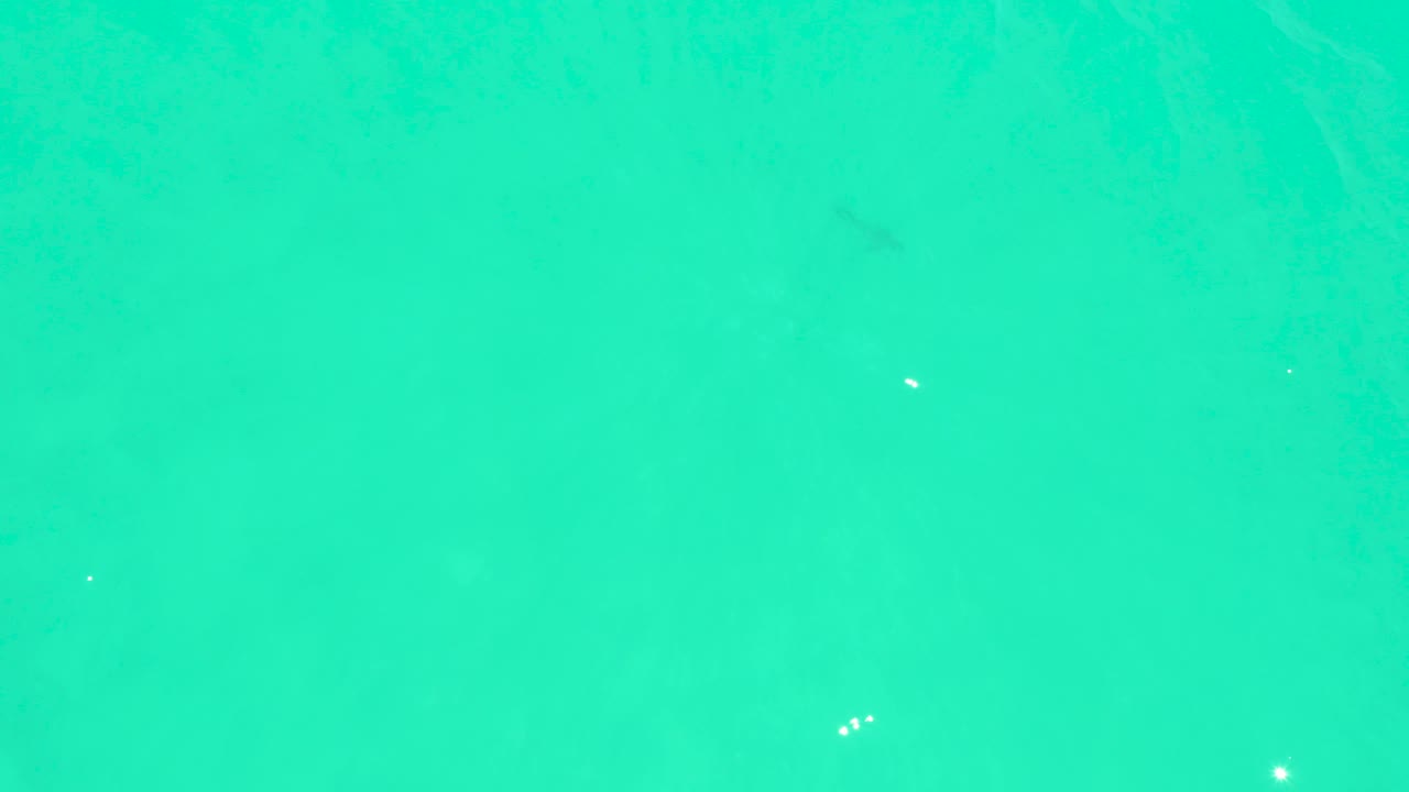 A small dark fish shape is visible near the right side of the clear turquoise water at Marquis Los Cabos, with the seabed softly visible below and no visible people.