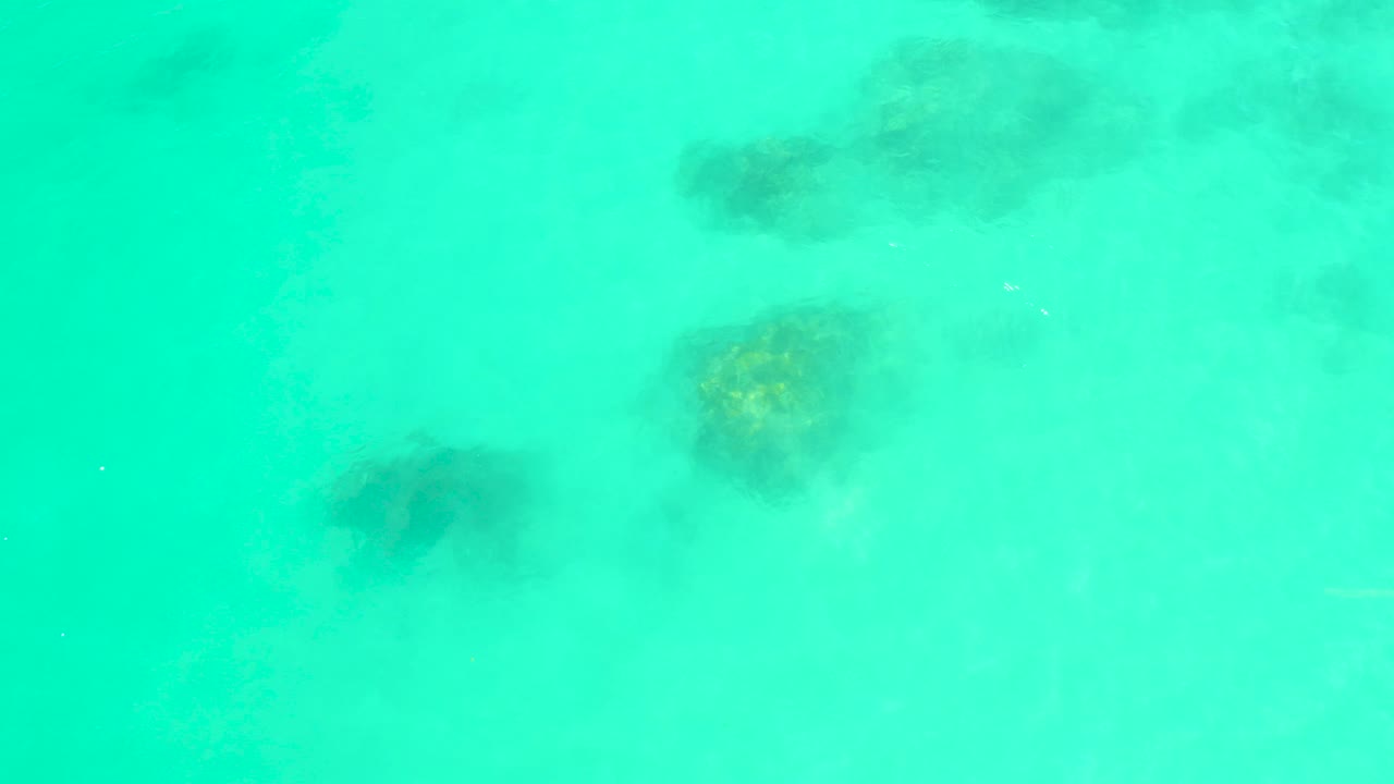 Top-down view of turquoise ocean water at Marquis Los Cabos with several dark seaweed patches visible under the surface and no visible people.