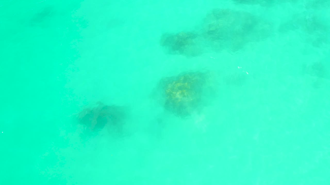 Aqua ocean water at Marquis Los Cabos shows scattered dark seaweed clusters beneath faint surface ripples, with no visible people.
