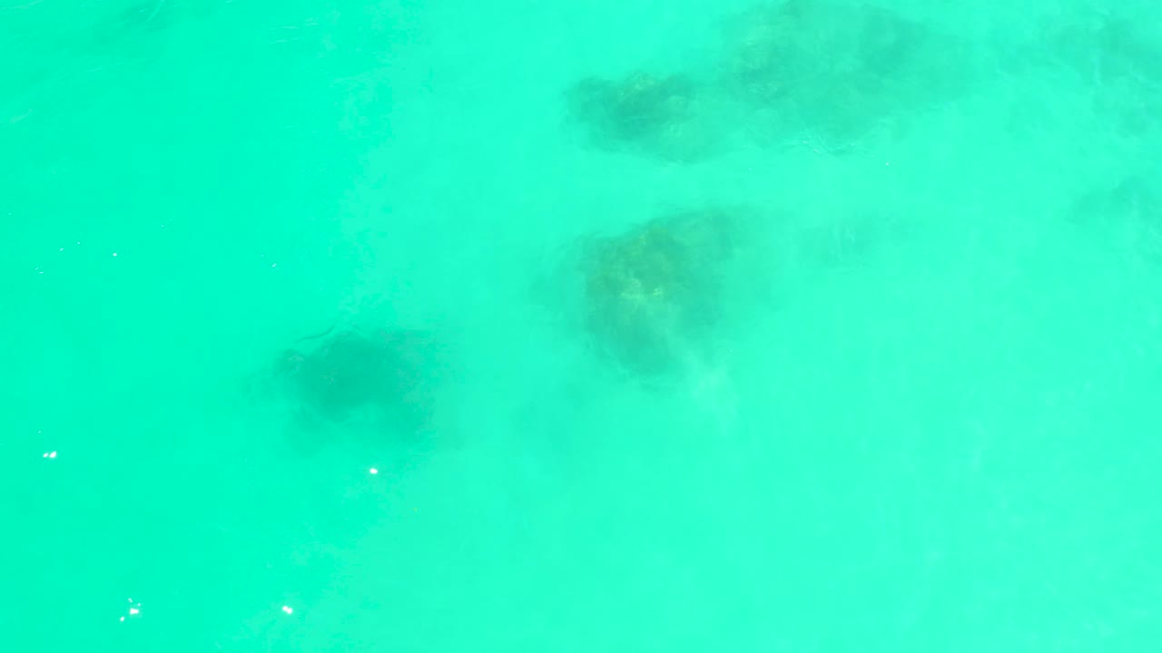 Bright turquoise water at Marquis Los Cabos contains darker underwater seaweed shapes spread across the frame and no visible people.