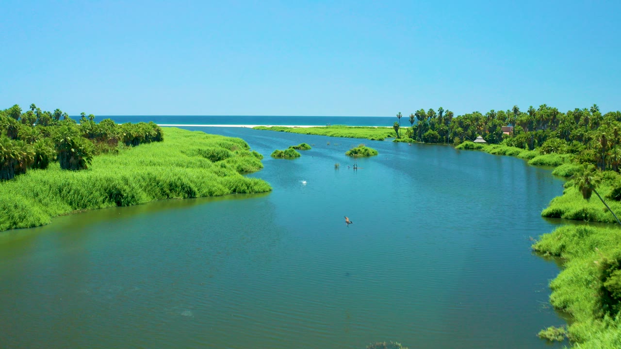 Aerial view of a green river channel leading toward the ocean