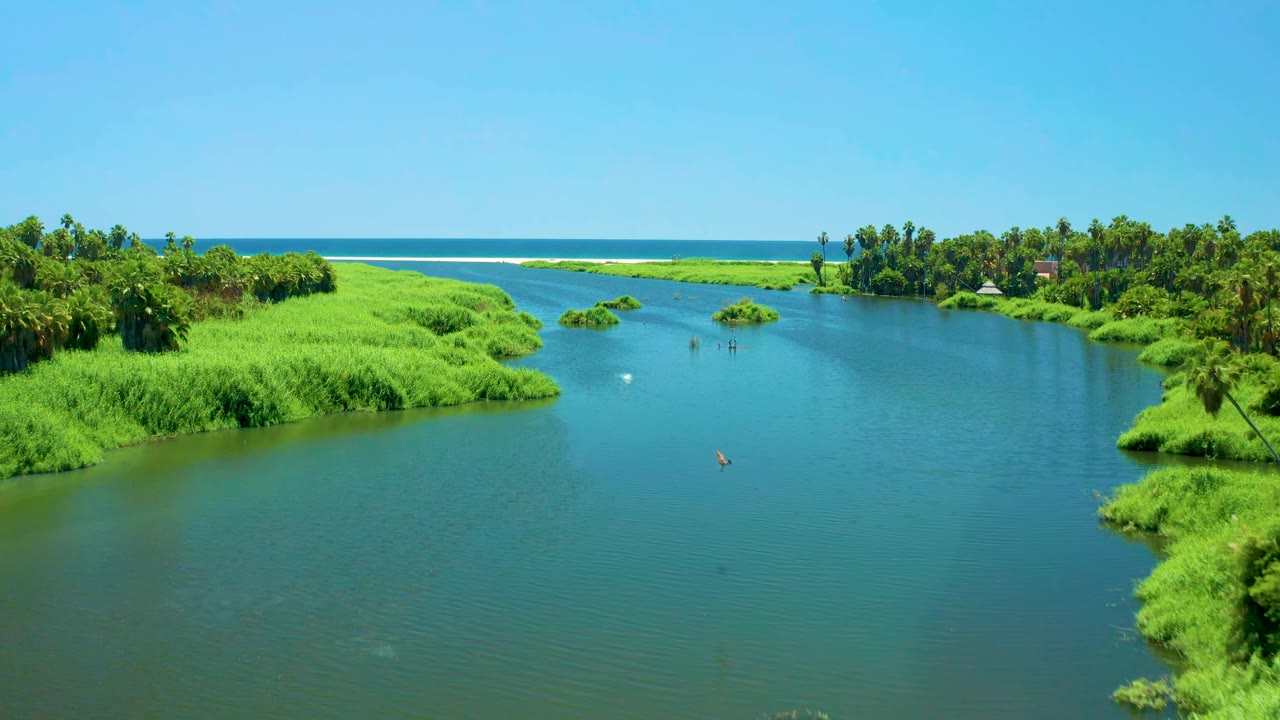 Wide aerial view of San Jose Del Cabo Estuary with bright green banks wrapping around calm river water, the sea beyond the river mouth, and no visible people.