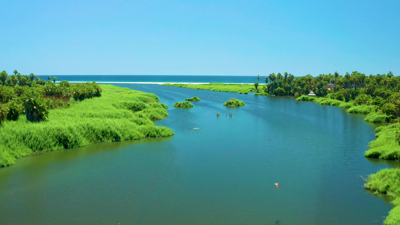 Aerial view across San Jose Del Cabo Estuary with a river bend, palm-lined greenery, a small boat on the water, distant surf, and no visible people.
