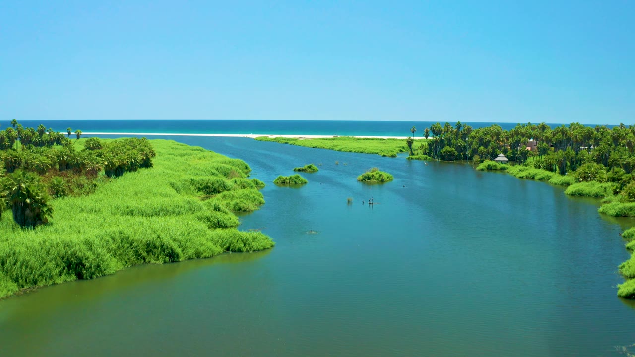Aerial frame of San Jose Del Cabo Estuary with the channel running between thick green vegetation, a sandy ocean edge in the distance, and no visible people.