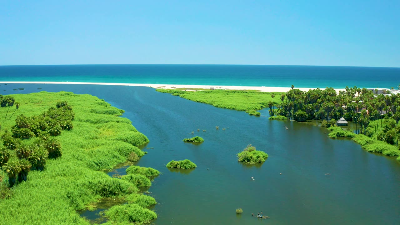 Drone-like view of the San Jose Del Cabo Estuary with a broad water channel, thick green banks, small floating vegetation patches, sandy shore, and no visible people.