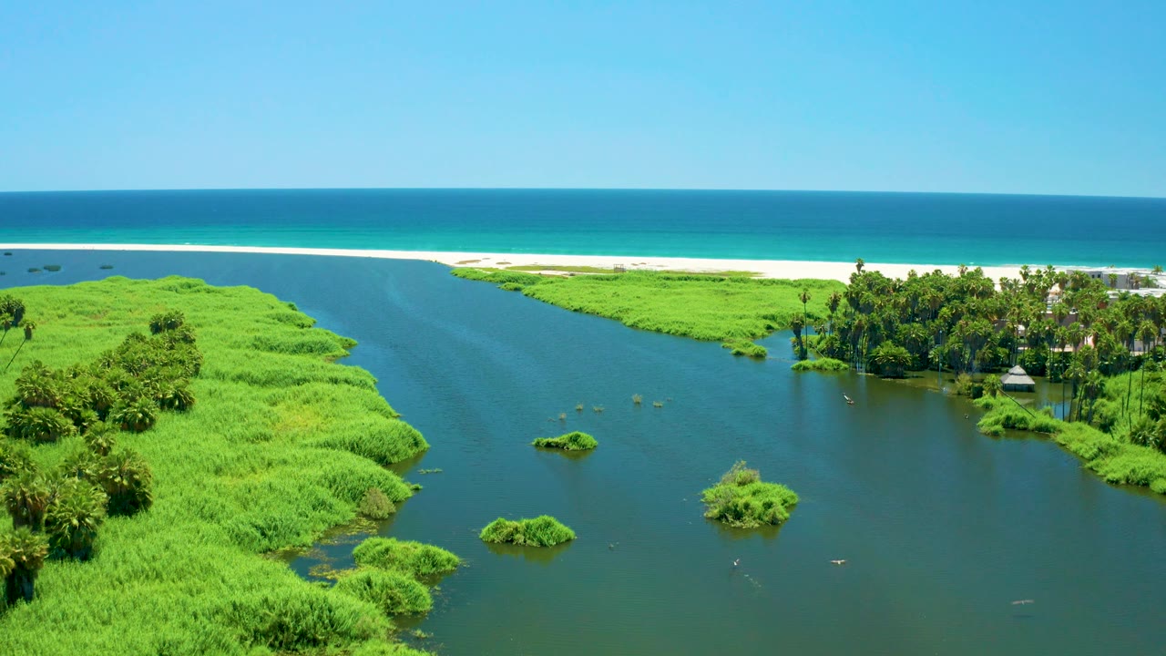 River and bright green wetland plants with a beach and ocean horizon in the distance.