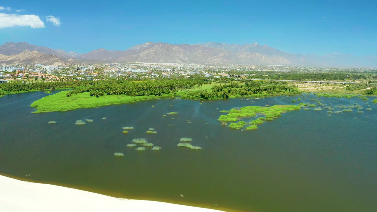 Aerial frame over San Jose del Cabo Estuary with algae clusters spread across the water, a green shoreline band, distant urban buildings, hazy mountains, blue sky, and no visible people.