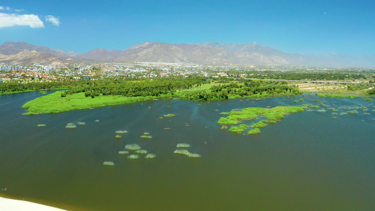 Drone view of algae-covered estuary water with city buildings and mountains beyond.