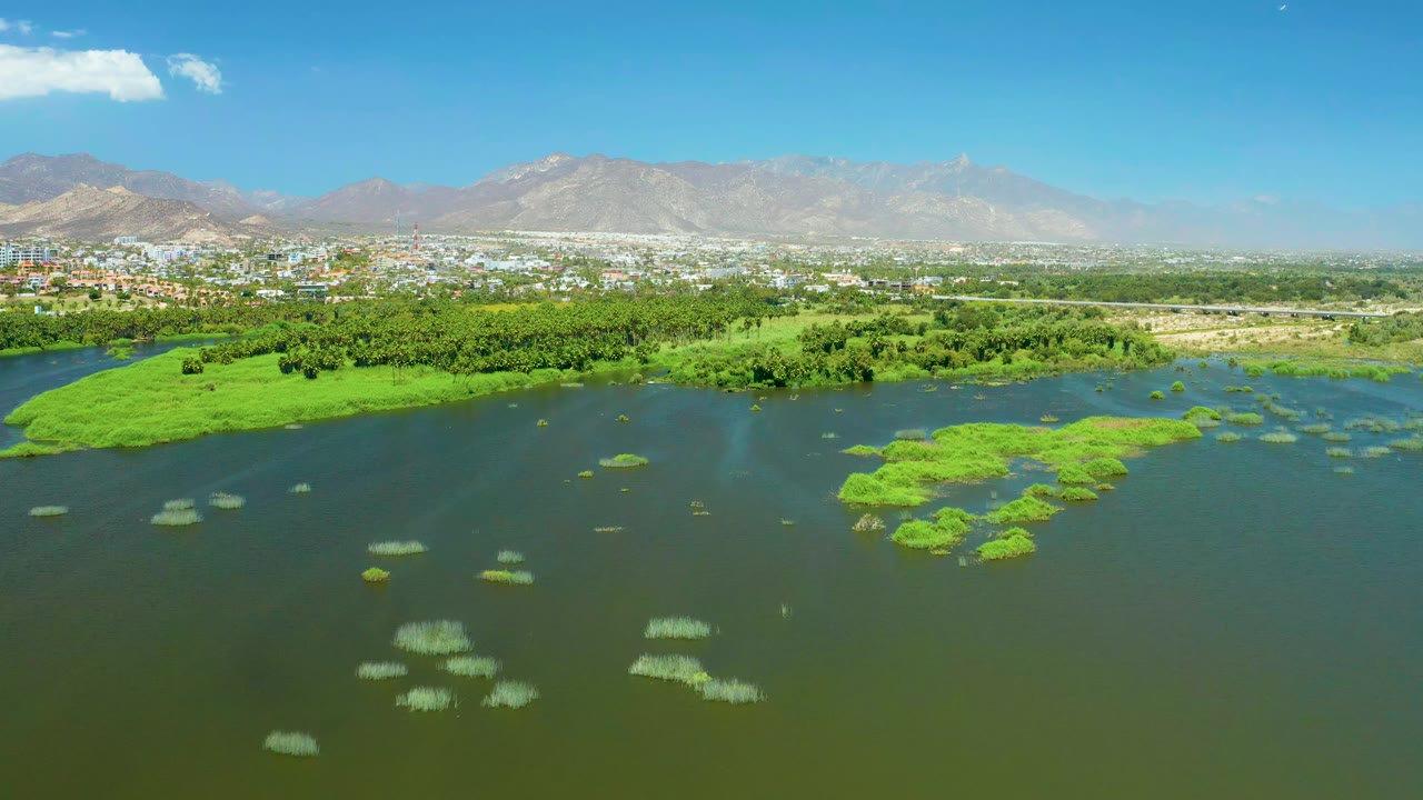 At 0:01, San Jose Del Cabo Estuary water fills the foreground with green plant mats, while a town edge, trees, hazy mountains, bright sky, and no visible people remain in the background.