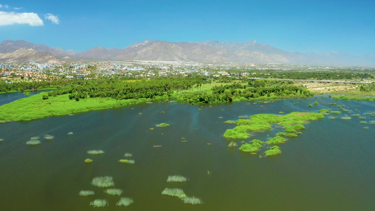 Dark estuary water with bright green floating vegetation and a distant built-up area below mountains.
