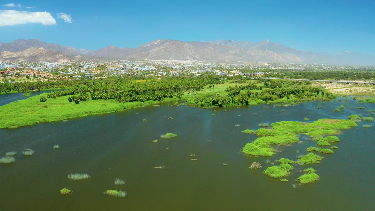 Aerial view of green vegetation patches on calm water with city and mountains beyond.